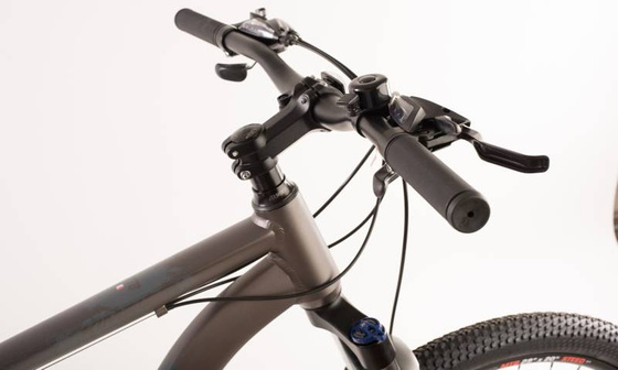 Rower MTB 29" STEED 1.0 rama 20" Shimano