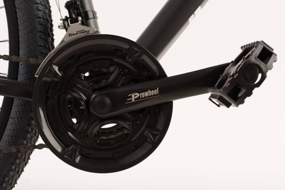 Rower MTB 29" STEED 1.0 rama 20" Shimano