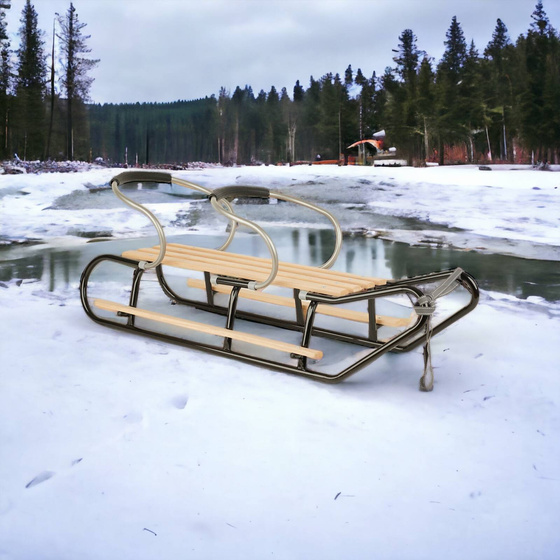 Sanki dla dwójki rodzeństwa z podnóżkami