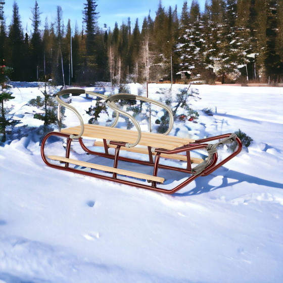 Sanki dla dwójki rodzeństwa z podnóżkami