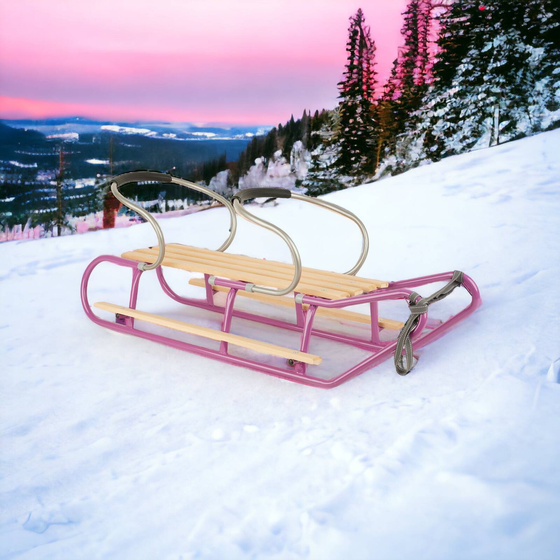 Sanki dla dwójki rodzeństwa z podnóżkami