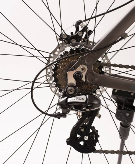 Rower MTB 29" STEED 1.0 rama 20" Shimano