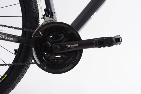 Rower MTB 29" STEED 2.1 rama 19" Shimano