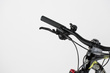 Rower MTB 29" STEED 2.0 rama 19" Shimano